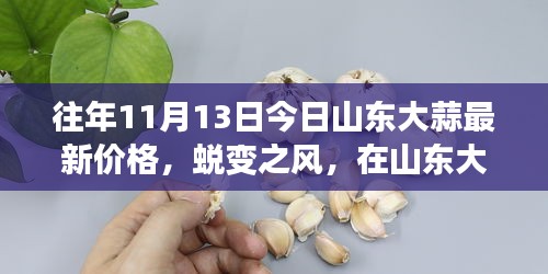 山东大蒜律动，蜕变之风中的自信与成就力量——历年今日最新价格解析