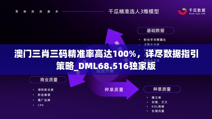 澳门三肖三码精准率高达100%，详尽数据指引策略_DML68.516独家版