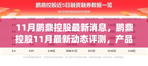 鹏鼎控股最新动态评测，产品特性、用户体验与竞争分析揭秘