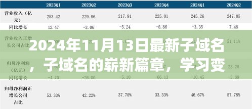 子域名的崭新篇章，学习变化，自信成就未来（最新资讯，2024年11月）