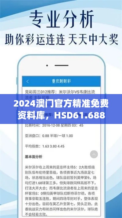 2024澳门官方精准免费资料库，HSD61.688多功能仿真版方案