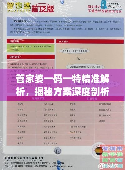 管家婆一码一特精准解析，揭秘方案深度剖析_IZQ77.696见证版