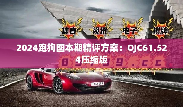 2024跑狗图本期精评方案：OJC61.524压缩版