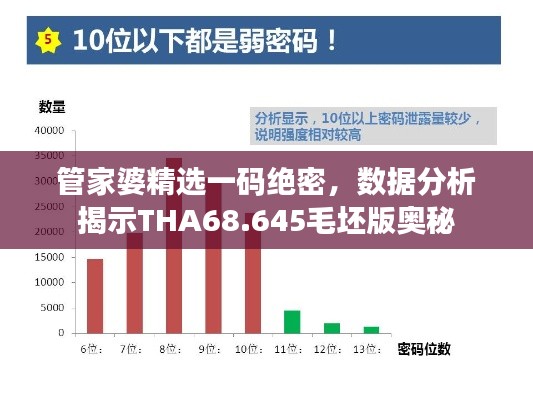 管家婆精选一码绝密，数据分析揭示THA68.645毛坯版奥秘