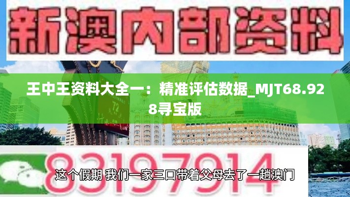 王中王资料大全一：精准评估数据_MJT68.928寻宝版