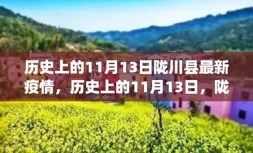 历史上的11月13日陇川县疫情背后的励志故事，点亮希望之光的学习变化之路