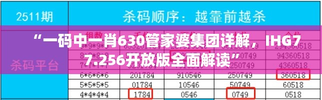 “一码中一肖630管家婆集团详解，IHG77.256开放版全面解读”