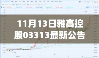 雅高控股最新公告解读与操作指南，适用于初学者与进阶用户的实用指南（11月13日）