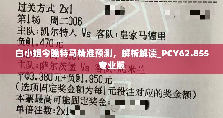 白小姐今晚特马精准预测，解析解读_PCY62.855专业版