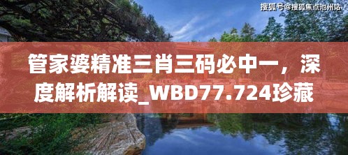 管家婆精准三肖三码必中一，深度解析解读_WBD77.724珍藏版