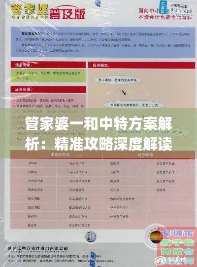 管家婆一和中特方案解析：精准攻略深度解读_KIY61.320智慧共享版