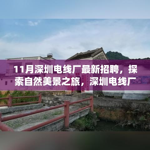 深圳电线厂最新招聘启事，探索自然美景之旅，宁静之旅等你来踏足