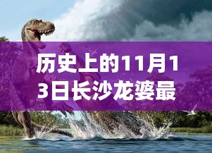 2024年11月14日 第16页