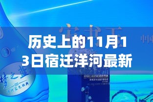 宿迁洋河房价变迁史，11月13日的趋势与回顾