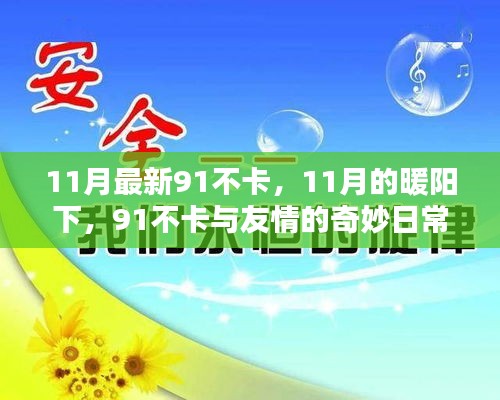 11月暖阳下的91不卡，友情与日常的奇妙交织