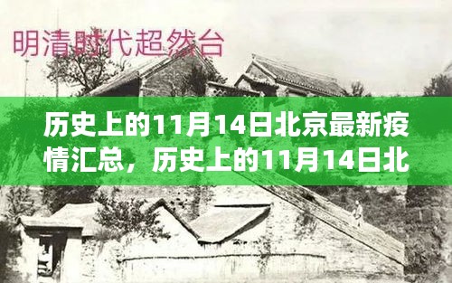 历史上的11月14日北京疫情深度解析，最新动态与背后的故事小红书汇总报告