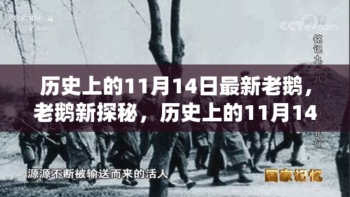 历史上的11月14日，老鹅探秘与小巷深处的独特风味