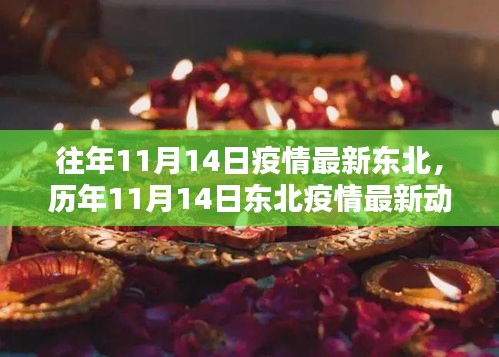 历年11月14日东北疫情深度评测与最新动态观察