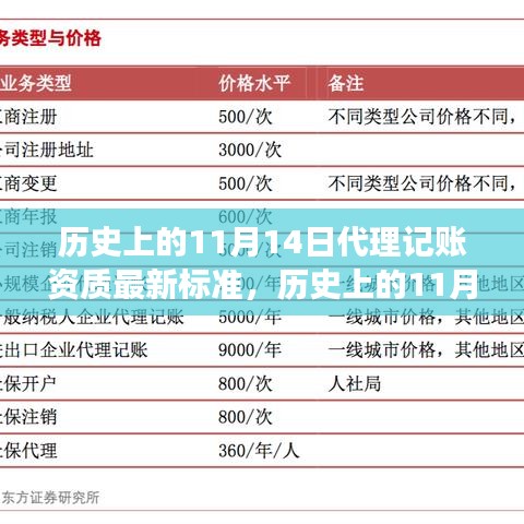 历史上的11月14日代理记账资质最新标准深度解读与观点阐述