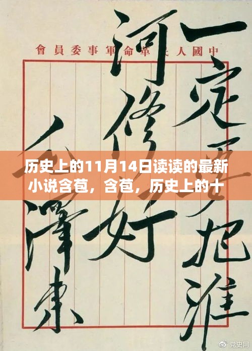 历史上的11月14日与小说含苞的时代新篇揭秘