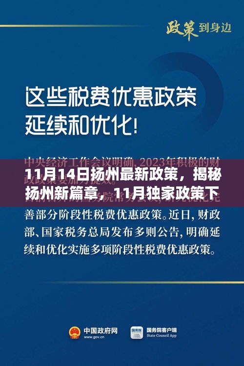 揭秘扬州新篇章，独家政策下的巷弄风情与美食秘境（11月最新政策）