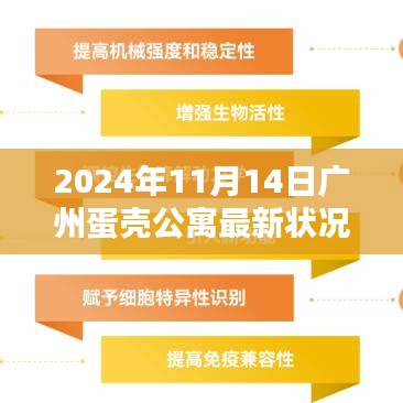 2024年广州蛋壳公寓最新状况解析，特性、体验、竞品对比及用户群体分析