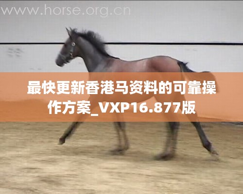 最快更新香港马资料的可靠操作方案_VXP16.877版