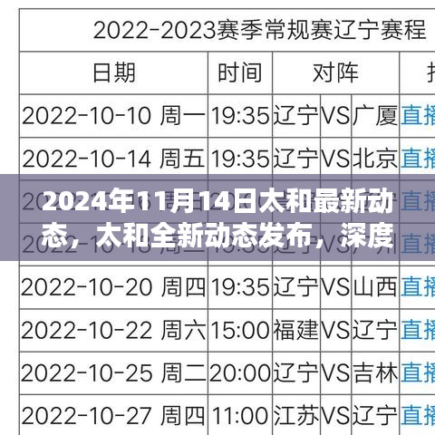 太和最新动态解析，深度了解最新产品特性与用户体验