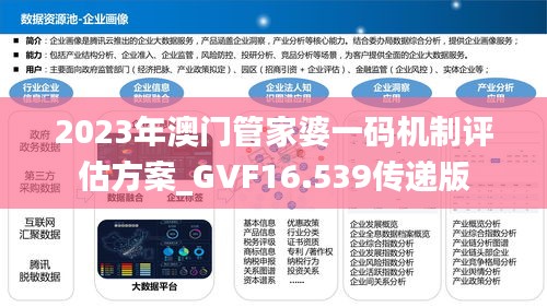 2023年澳门管家婆一码机制评估方案_GVF16.539传递版