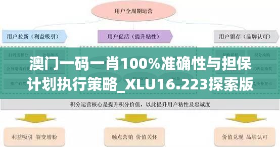 澳门一码一肖100%准确性与担保计划执行策略_XLU16.223探索版