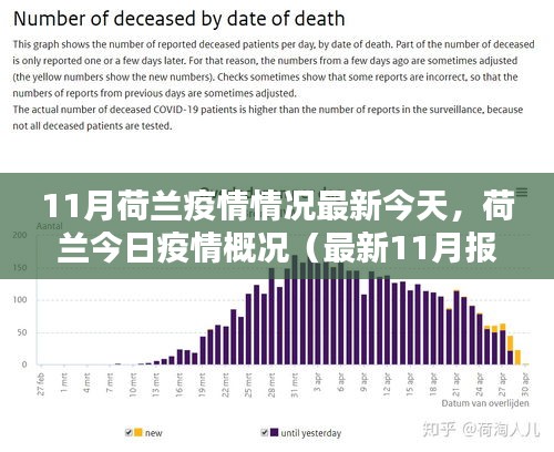 荷兰最新疫情概况，今日疫情报告（最新报告揭示荷兰疫情情况）