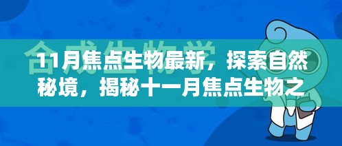 揭秘十一月焦点生物，自然秘境之旅，探索内心宁静与平和的奥秘