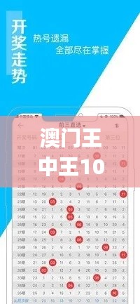 澳门王中王100精准资料解析与数据详解_WVQ16.645先锋科技