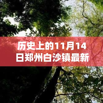 郑州白沙镇历史探寻，揭秘历史上的11月14日最新消息与指南