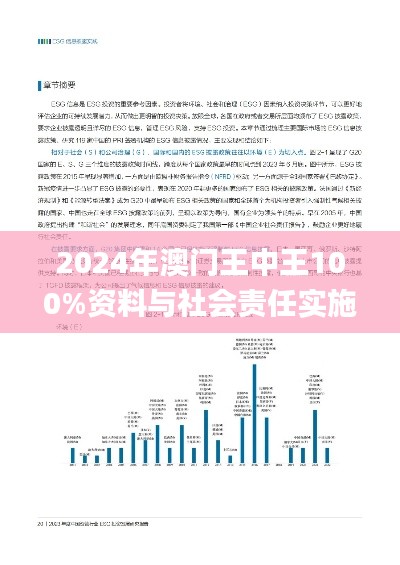 2024年澳门王中王100%资料与社会责任实施报告_RBD16.645深度版