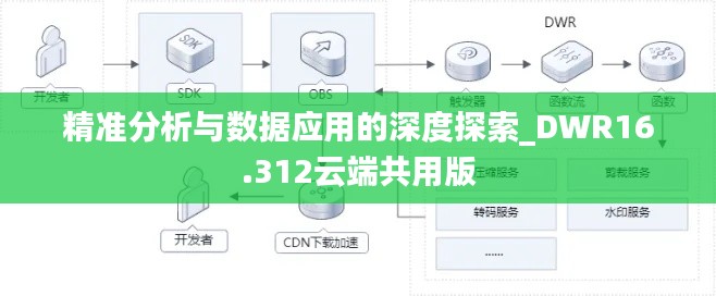 精准分析与数据应用的深度探索_DWR16.312云端共用版