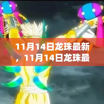 11月14日龙珠新篇章开启，最新动态与热议焦点