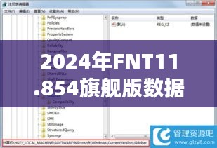 2024年FNT11.854旗舰版数据管理策略一览