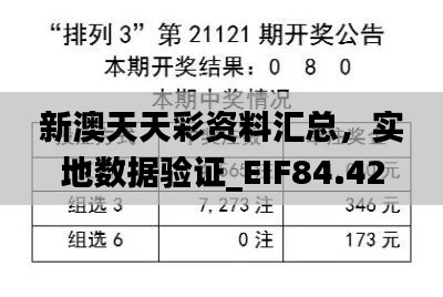 新澳天天彩资料汇总，实地数据验证_EIF84.424流线型版本