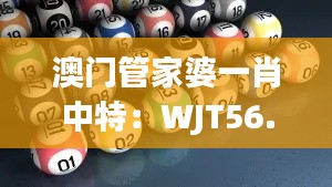 澳门管家婆一肖中特：WJT56.988互动版的可靠操作指南