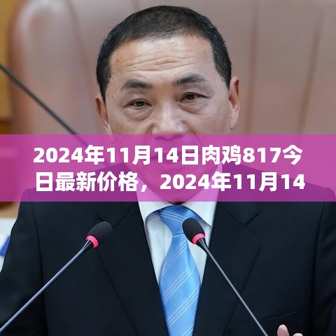 2024年11月14日肉鸡817最新价格解析与理解，成为行业小达人