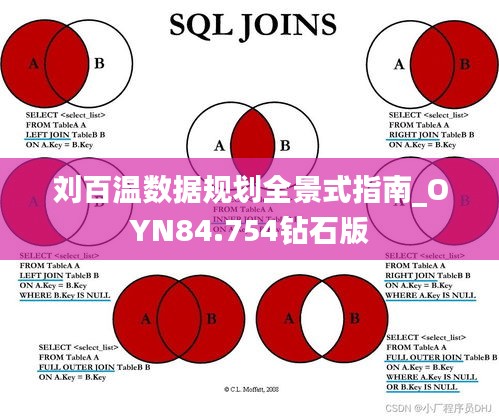 刘百温数据规划全景式指南_OYN84.754钻石版