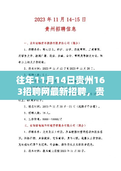 贵州历年招聘盛事回顾，贵州163招聘网历年招聘回顾与影响分析