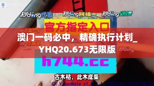 澳门一码必中，精确执行计划_YHQ20.673无限版