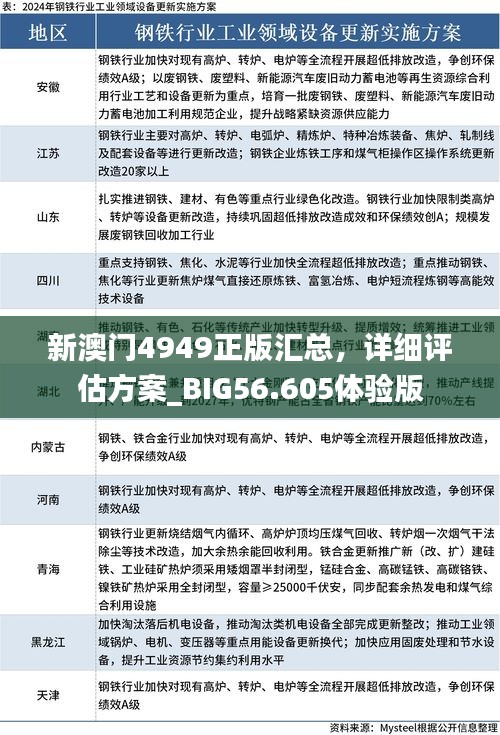 新澳门4949正版汇总，详细评估方案_BIG56.605体验版