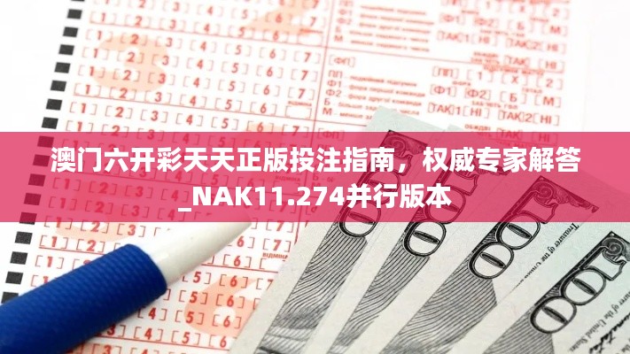 澳门六开彩天天正版投注指南，权威专家解答_NAK11.274并行版本