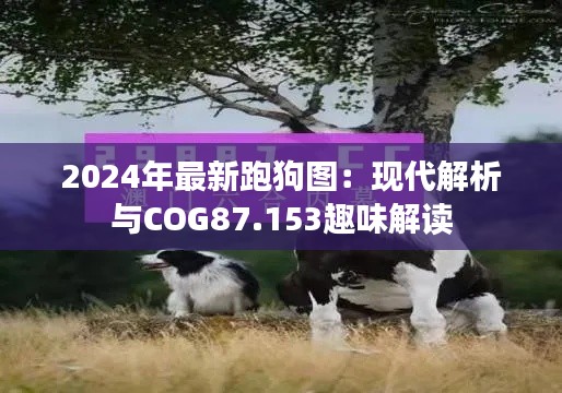 2024年最新跑狗图：现代解析与COG87.153趣味解读