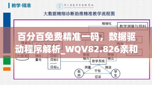 百分百免费精准一码，数据驱动程序解析_WQV82.826亲和版