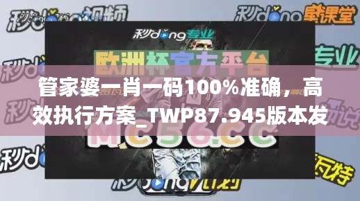 管家婆一肖一码100%准确，高效执行方案_TWP87.945版本发布