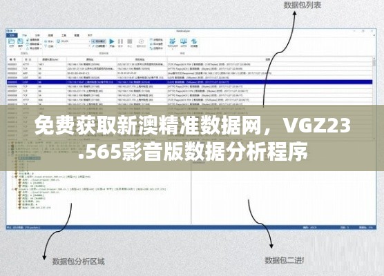 免费获取新澳精准数据网，VGZ23.565影音版数据分析程序